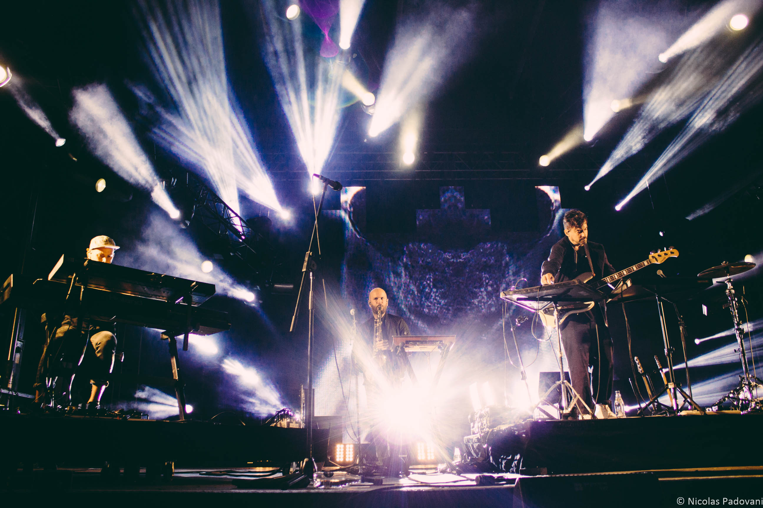 Bonobo — historical photograph